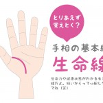 １分でわかる生命線【手相の基本線】
