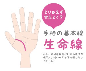 １分でわかる生命線【手相の基本線】
